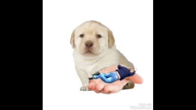 Трах видео №84004 - trahino.net