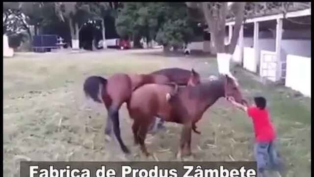 Трах видео №67783 - trahino.net