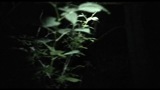 Трах видео №38703 - trahino.net