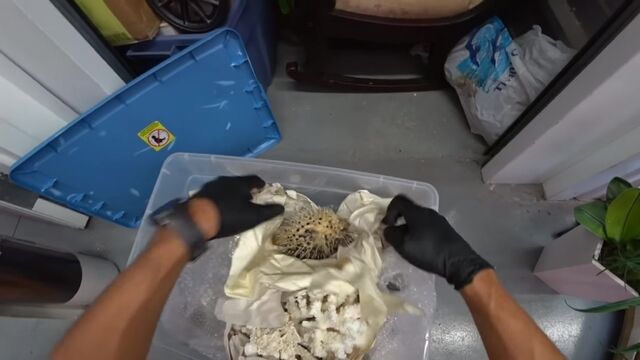 Трах видео №43437 - trahino.net