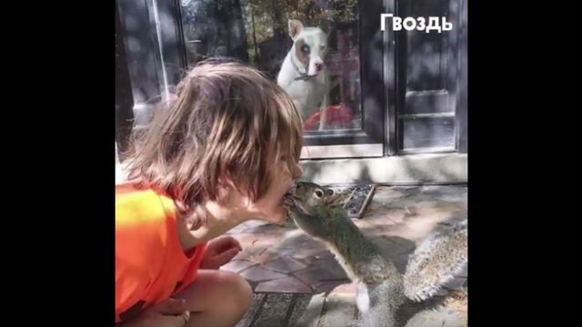 Застали врасплох во время секса частное порно видео