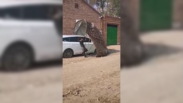 Трах видео №79381 - trahino.net