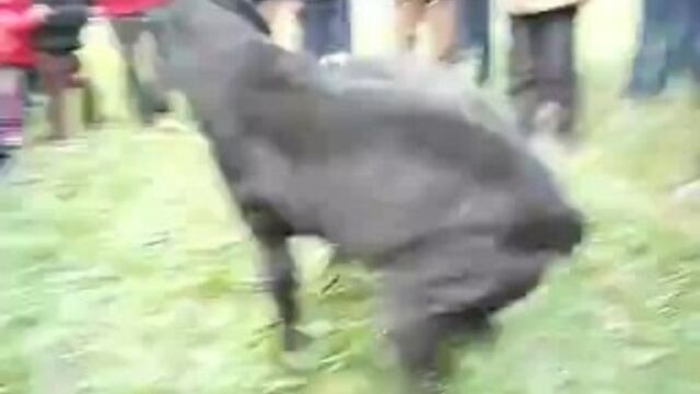 Трах видео №26748 - trahino.net