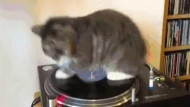 Трах видео №80837 - trahino.net