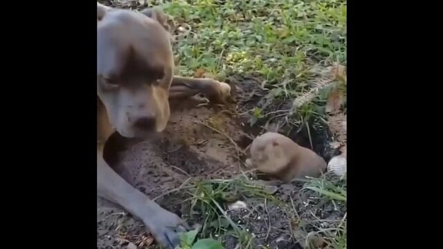 Трах видео №21959 - trahino.net