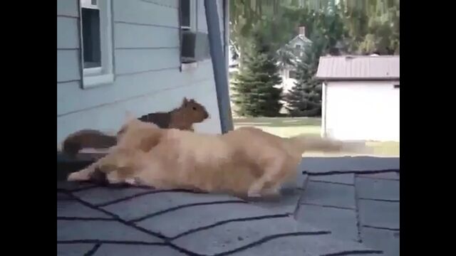 Трах видео №284662 - trahino.net