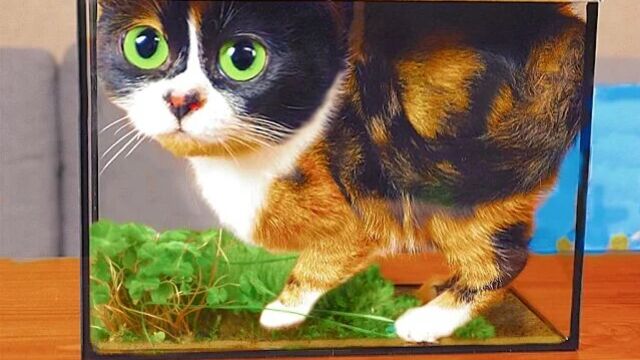 Трах видео №207510 - trahino.net