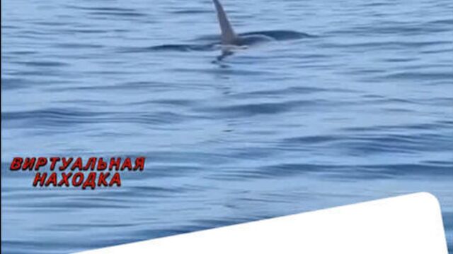 Трах видео №342790 - trahino.net