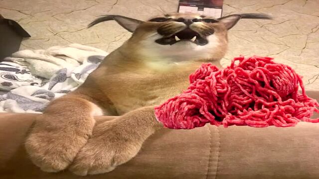 Трах видео №192416 - trahino.net