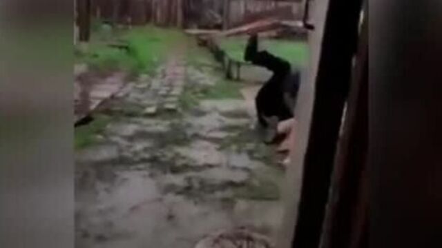 Трах видео №53915 - trahino.net