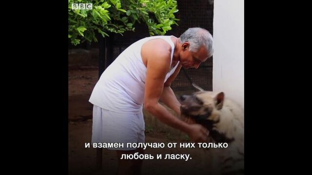 Трах видео №34810 - trahino.net