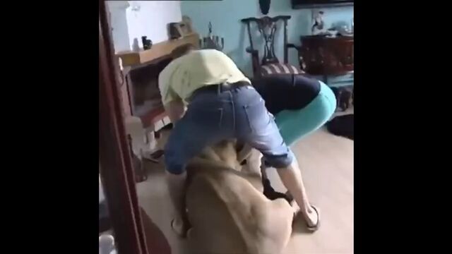 Трах видео №87276 - trahino.net