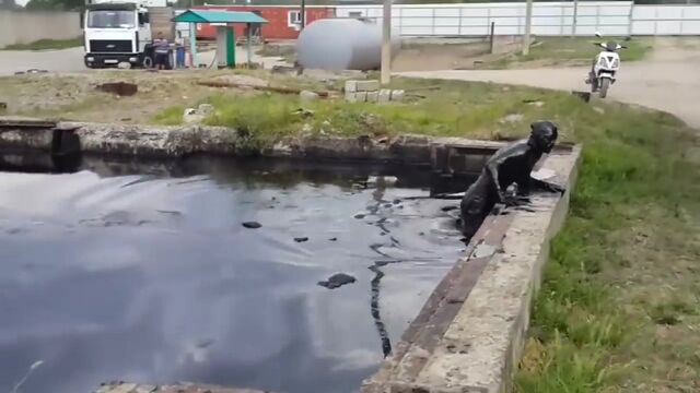 Трах видео №20020 - trahino.net