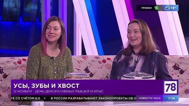 Трах видео №116384 - trahino.net