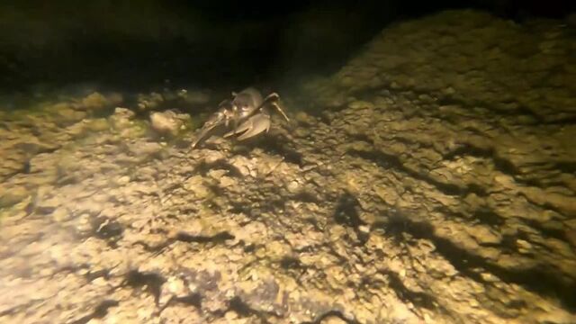 Трах видео №35280 - trahino.net