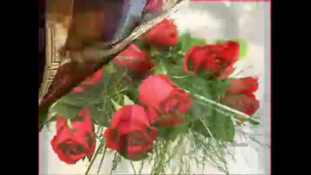 Трах видео №120147 - trahino.net