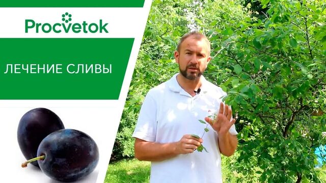 Трах видео №66169 - trahino.net