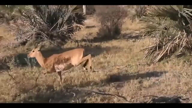 Трах видео №16811 - trahino.net