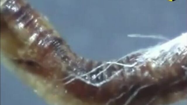 Трах видео №168912 - trahino.net