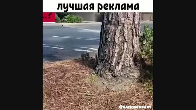 Трах видео №41094 - trahino.net