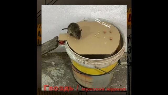 Трах видео №293534 - trahino.net