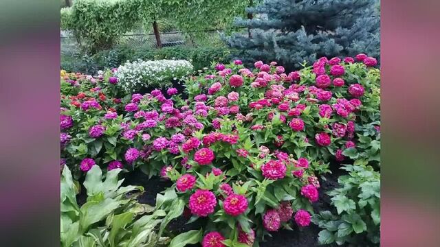 Трах видео №7177 - trahino.net