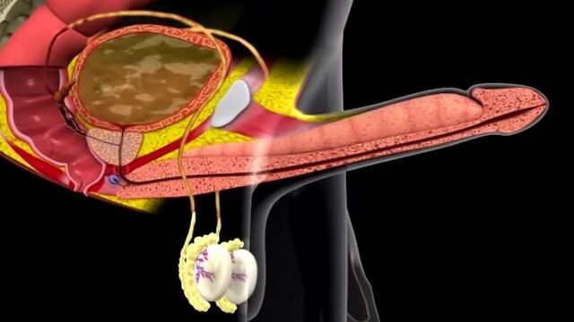 Трах видео №37578 - trahino.net