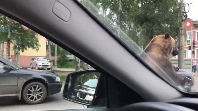 Трах видео №159938 - trahino.net