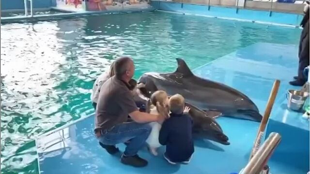 Трах видео №5351 - trahino.net