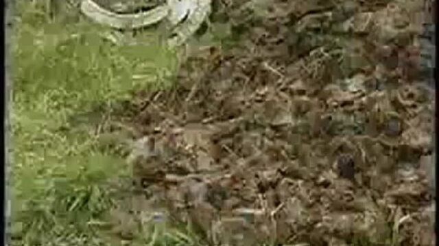 Трах видео №88993 - trahino.net