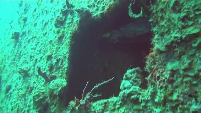 Трах видео №134688 - trahino.net