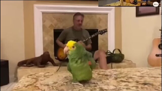 Трах видео №24256 - trahino.net