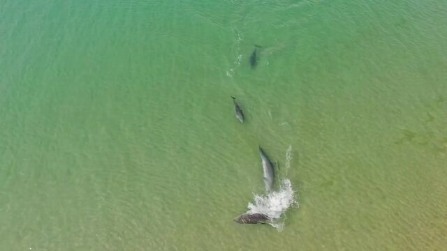 Трах видео №34314 - trahino.net