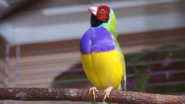 Трах видео №354193 - trahino.net