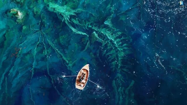 Трах видео №71196 - trahino.net