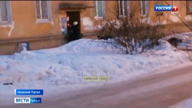 Трах видео №120434 - trahino.net