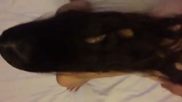 Трах видео №381300 - trahino.net