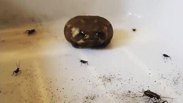 Трах видео №138940 - trahino.net