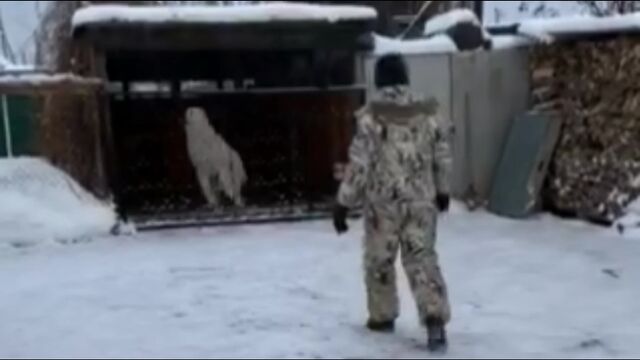 Трах видео №4587 - trahino.net