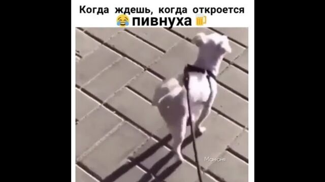 Трах видео №9477 - trahino.net