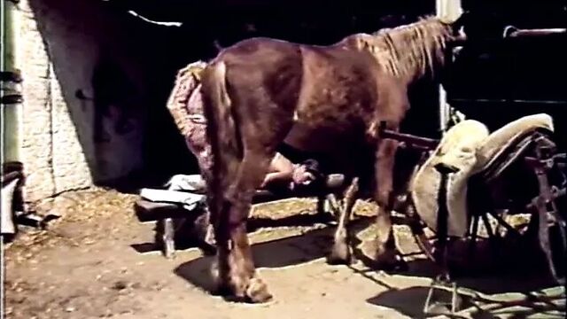 Трах видео №436217 - trahino.net